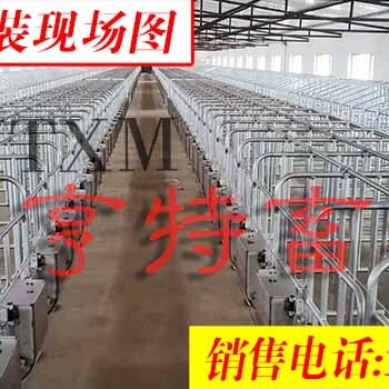 出售新型养猪定位栏带复合漏粪板猪用限位栏