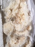 江苏南通常年出售大量布边纱、浆纱、回丝