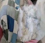 江苏扬州长期求购大量枕头棉，枕芯棉，被子丝棉，娃娃棉，月需百吨