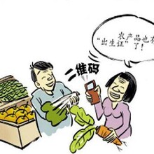 详细的农产品追溯平台分析