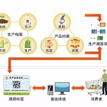 农产品一码一物二维码系统：塑造企业品牌形象新神器