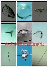 汽车玻璃修复修补汽车前挡风玻璃修复图片