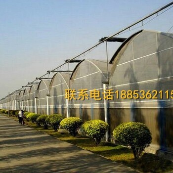 圓型連棟拱棚,連棟薄膜拱棚,雙拱雙模連棟溫室