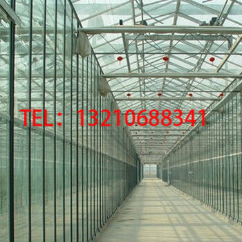 建造一个玻璃温室大棚大约需要多少钱