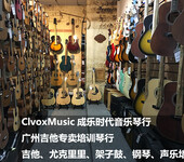 成乐时代音乐Dove鸽子民谣木吉他广州实体专营，DD260S单板吉他专卖
