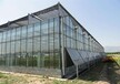 菏泽阳光板玻璃温室建设连栋温室大棚骨架设计施工
