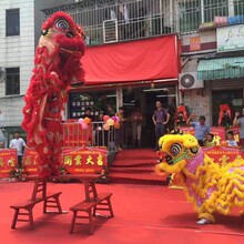 江门专业舞龙醒狮/江门开业庆典舞狮/江门舞狮表演