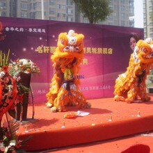 梅州开业庆典舞狮-梅州大型梅花桩舞狮-梅州专业舞狮队