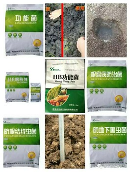 生物功能菌哪里好？鶴壁禾盛功能菌