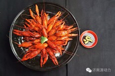 龙虾生态主题餐厅加盟龙虾生煎包特色加盟馋虾加盟图片1