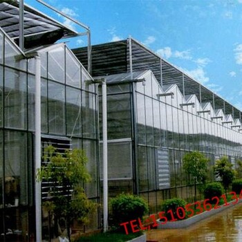 做温室大棚找青州齐鑫温室园艺造价低质量优