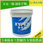 加拿大进口XYPEX涂料_湖北宜都赛柏斯防水添加剂厂家推荐