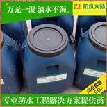 防水大师PB-1防水涂料襄阳高新区一平方多少钱图片2