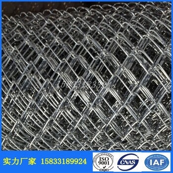 熱鍍鋅勾花網(wǎng)邊坡防護(hù)內(nèi)網(wǎng)勾花護(hù)欄網(wǎng)安全防護(hù)勾花網(wǎng)