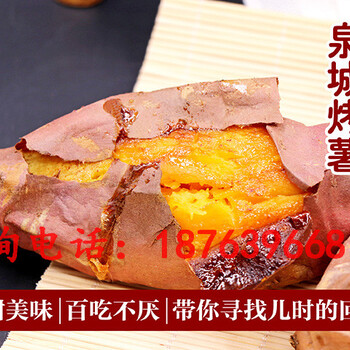 湖北新型項目投資加盟大學(xué)生創(chuàng)業(yè)的投資小利潤回報大