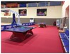 乒乓球地胶地板专业比赛场地专用地胶板乒乓球馆防滑耐