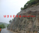 供应西藏绞索网主动被动柔性边坡山体防护网拦石网