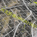 供应湖北武汉绞索网主动被动柔性边坡山体防护网拦石网图片5