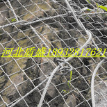 供应湖北武汉绞索网主动被动柔性边坡山体防护网拦石网图片2