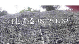 供应湖北武汉绞索网主动被动柔性边坡山体防护网拦石网图片0