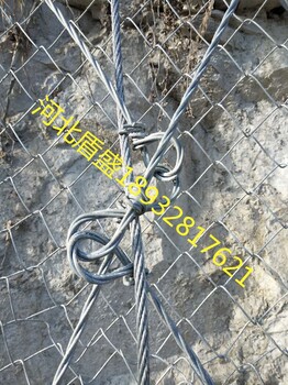 环形网钢丝绳网被动防护网绞索网缆索护栏SNS柔性防护网