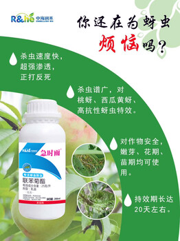 西瓜蚜虫防治药棉花抗性腻虫杀虫药蜜虫