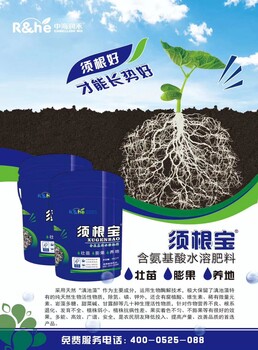河南氨基酸生根壯苗沖施肥膨果水溶肥桶肥