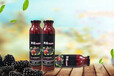 南京QS黑莓复合饮品OEM代工贴牌生产基地