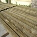厂家批发赤松防腐木，赤松板材地板料