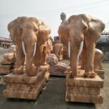 石雕晚霞红大象图片4