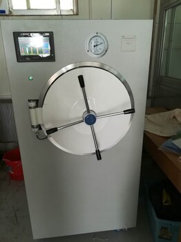 湿热快速灭菌器100柜式蒸汽