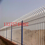 嘉兴小区围墙护栏、PVC护栏、锌钢护栏厂家图片1