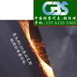 意大利GBS基必艾斯研发一种新型梳理机磨针机