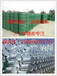 夏縣200升塑料桶供銷液體肥料包裝桶雙邊食品桶