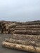 进口优质新西兰辐射松木方厂家直供