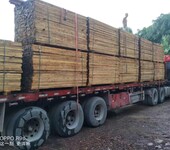 建筑杉木木方厂家直供、方正耐用