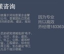 临翔编制可行性分析的公司√哪家专业