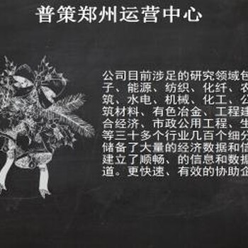 洛南县编写商业计划书的公司√医养一体化