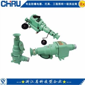 BCD32防爆插銷(xiāo)BCD-32防爆插銷(xiāo)防爆快速連接裝置石油插銷(xiāo)