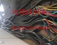 杭州嘉兴电力电缆回收//杭州嘉兴工厂旧电缆回收（长期回收）图片3