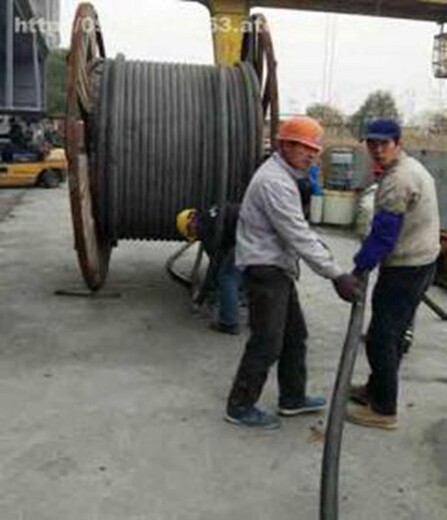 南京工程电缆线回收信誉