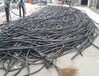 南京进口电缆线回收诚信回收公司