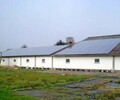 牡丹江東寧林口綏芬河太陽能路燈，膠體蓄電池，儲能蓄電池