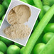 供应有机高纯度豌豆蛋白粉