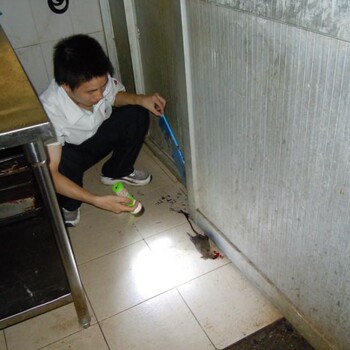 广州灭鼠公司为您提供家庭灭鼠方法广州灭蟑螂方法