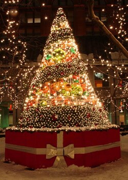 圣诞树生产厂家面向全国出租出售