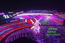 中国的梦幻灯光节行业将会以更快的速度发展图片2