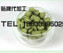 辣木叶压片糖果OEM提取灌装厂商