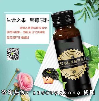 多肽黑莓果原液ODM代工企业