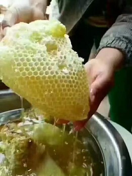 老挝岩蜂蜜马叉蜂蜜双排蜂蜜大挂蜂蜜无添加蜂蜜500g包邮